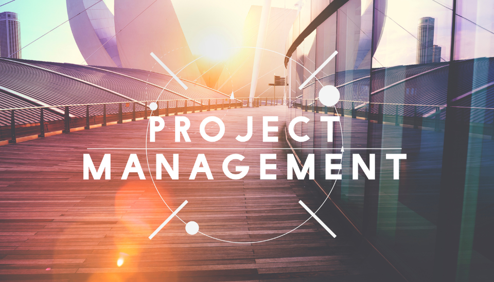 How End-to-End Project Management Services Support Businesses in Qatar